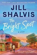 The bright spot : a novel  Cover Image