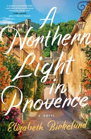 A northern light in Provence : a novel  Cover Image